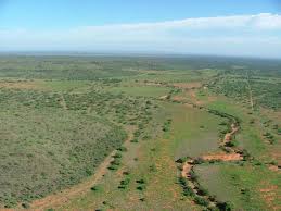 Image result for Plinthus karooicus