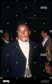 Hollywood, CA, USA; Michael Jackson's brother, JERMAINE JACKSON attends the  Maimonides Tribute to Charlton Heston. Mandatory Credit: Kathy  Hutchins/ZUMA Press. (©) Kathy Hutchins Stock Photo