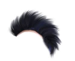 Cb Hair Style Hair Png Picsart Png Photoshop Hair
