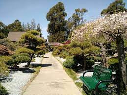 The japanese garden is a hidden gem where you can go for a secluded private walk. Tranquil Japanese Garden Picture Of Hayward Japanese Gardens Tripadvisor