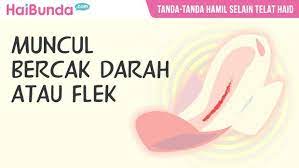 Meskipun tidak semua mamy mengalami mual saat hamil namun rasa. Kenali Yuk Bun Tanda Tanda Hamil Selain Telat Haid