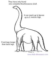 brachiosaurus facts for kids