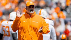 Image result for Brown 1980 Evans Coach Lines