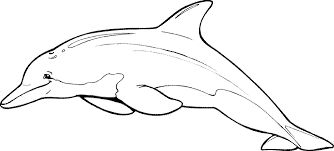 These free, printable halloween coloring pages for kids—plus some online coloring resources—are great for the home and classroom. Print Download My Experience Of Making Dolphin Coloring Pages