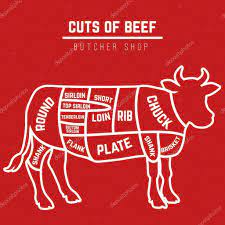Especialistas en cortes de calidad. Vektorgrafiken Diagrama De Cortes De Carne De Res Vektorbilder Diagrama De Cortes De Carne De Res Depositphotos