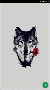 You can also upload and share your favorite wolf wallpapers 1920x1080. Susse Wolf Wallpaper Fur Android Apk Herunterladen