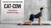 It's probably one of the number one stretches i cat and cow modification for upper back. Cat And Cow Stretch Best Stretch For Your Back Pain Youtube
