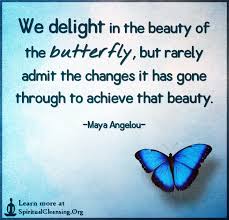 We delight in the beauty of the butterfly, but rarely admit the changes it has gone through to achieve that beauty. We Delight In The Beauty Of The Butterfly But Rarely Admit The Changes Spiritualcleansing Org Love Wisdom Inspirational Quotes Images