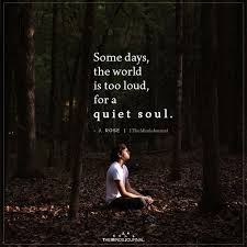 Some Days The World Is Too Loud For A Quiet Soul In 2020 Quiet Quotes Soul Quotes Life Quotes