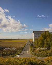 日本の関東地方にある田園に広がる一本道 写真素材 [ 5444371 ] - フォトライブラリー photolibrary
