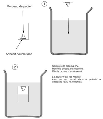 Première approche des fonctions de nutrition L Air Et Les Pollutions De L Air Sequence 1 Par Edumoov Jenseigne Fr