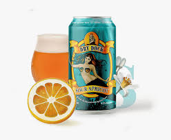 Dry dock brewing releases 12 packs of apricot blonde craftbeer. Paragon Apricot Blonde Dry Dock Brewing Co Hd Png Download Transparent Png Image Pngitem