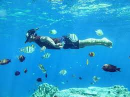 Gratis untuk komersial tidak perlu kredit bebas hak cipta. Taman Laut Di Pantai Olele Indahnya Kebangetan