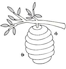 Adult coloring pages are all the rage right now. Beehive Template Preschool Google Search Bee Hive Coloring Pages Tree Branches