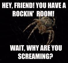 5 Reasons Spiders Aren T That Scary Peta2 Spiders Scary Spiders Funny Spider Meme