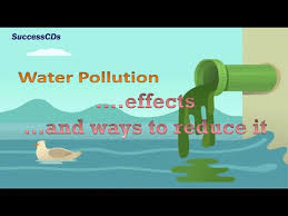 Water Pollution Effects And The Ways To Reduce It Youtube