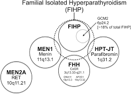 Image result for Hyperparathyroidism