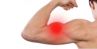 Kas Agrisina Ne Iyi Gelir Fitbull Magazine