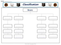 Bears Graphic Organizers Kwl Chart Venn Diagrams Classifying For Common Core