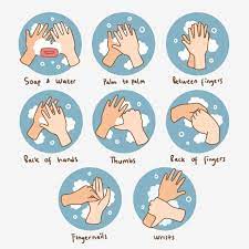 How To Wash Your Hand Properly Step By Step Hand Clipart Illustration Health Awareness Png Transparent Clipart Image And Psd File For Free Download Hand Washing Poster Hand Clipart Hand Washing