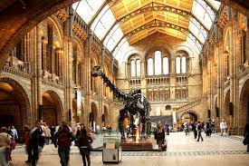 Natural History Museum London United Kingdom Afar