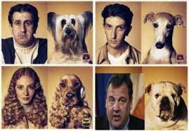 Dog Behavior Training In Northern Virginia Are Dogs Like People Northern Virginia Dog Training Blog