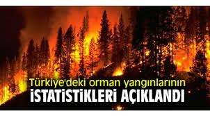 We did not find results for: Turkiye Deki Orman Yanginlarinin Istatistikleri Aciklandi Cevre Medya Cevre