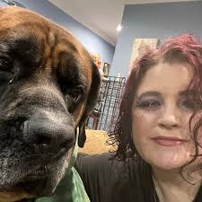 Two Great Danes taking ALL your lap, torso, legs, and face 😁