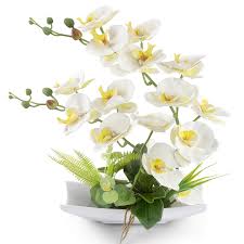 24550 county road 460, trinity, alabama 35673 phone: 2021 New Design High Quality Real Touch Cheap Pu Artificial Orchid Plants Orchid Flowers In Vase Orchid For Indoor Decoration Buy Orchid Flower Artificial Orchid Silk Flower Artificial Plastic Butterfly Orchids Product On Alibaba Com