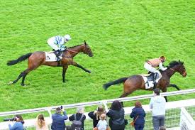 1 mois du quint vip 150 98. Pmu Resultat Quinte De La Course Prix Beaumanoir 5 Juin 2021 Canalturf