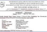 Namun terkadang penugasan harus dilakukan surat tugas dipergunakan sebagai pengesahan formil dalam melaksanakan pekerjaan dimaksud. Contoh Surat Perjalanan Dinas Perusahaan Word