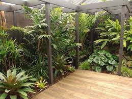 Check spelling or type a new query. 33 Beautiful Tropical Garden Design Ideas You Must Have Tropical Garden Design Tropical Garden Tropical Landscaping