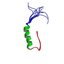 Image result for Exenatide