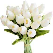 Explore theashworths' photos on flickr. 20pcs White 13 8inch Artificial Tulips Flowers For Party Decoration Wedding Home Decoration Shopee Philippines