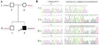 pedigree chart atm gene sequencing a simplified family