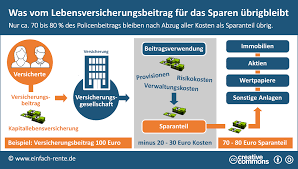 Dazu muss die laufzeit mindestens auf zwölf jahre ausgelegt sein und sie müssen mehr als fünf jahre lang beiträge eingezahlt haben. Wie Funktionieren Lebensversicherungen Und Was Bringen Sie