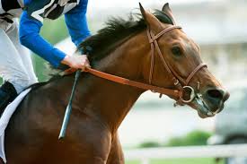Below you can view the odds for the runners entered in the 2021 grand national. Welsh Grand National 2021 Results Confirmed Runners Form And Tips