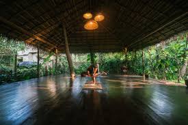 Check spelling or type a new query. Host Your Own Yoga Retreat At Sunshinestories Sunshinestories Surf Camp Yoga Retreat Sri Lanka