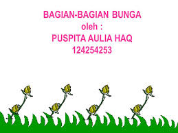 Peran bunga pada tumbuhan adalah sebagai alat perkembangbiakan secara generatif, perkembangbiakan secara kawin. Bagian Bagian Bunga Oleh Puspita Aulia Haq Ppt Download