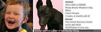 2021 Fatal Dog Attack Breed Identification Photographs