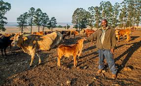 My views on the man have since changed. Mpumalanga Farmer Battles Government Trying To Kick Him Off Land I M Not Going Anywhere Citypress