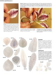 Formacion Lydia Ver Tema Orquideas Y Liliums Rosas De Foami Flores De Arcilla Polimerica Porcelana Fria