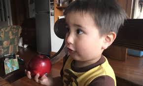 An apple harvest no one will ever forget