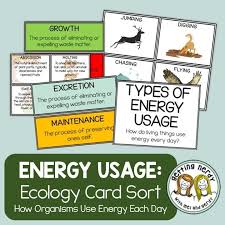 How are organisms adapted to survive? Getting Nerdy Science Life Science And Biology Lessons Biology Lessons Life Science Lessons Life Science
