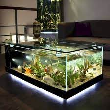 Coffee tables are among the most important furniture pieces for anyone's living room, and the best way to make your room even more impressive is the inclusion of a fish tank coffee table. 21 Stunning Home Aquarium Ideas Aquarium Coffee Table Fish Tank Coffee Table Glass Fish Tanks