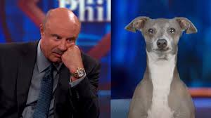Kermit On Dr Phil Meme Youtube