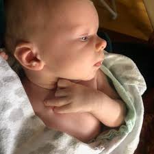 Welcome New Members! — Geological Society of the Oregon Country (GSOC)