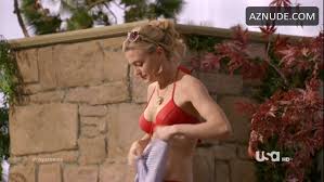 Brooke DOrsay Bikini chapter in Royal Pains - UPSKIRT.TV