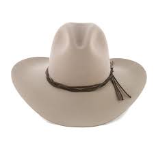 Stetson Men S 6x Gus Fur Felt Cowboy Hat Cowboy Hats Felt Cowboy Hats Cowboy Hat Styles