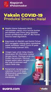 Diharapkan vaksin corona ini akan. Infografis Vaksin Covid 19 Produksi Sinovac Halal